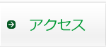 �A�N�Z�X