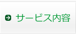 �T�[�r�X���e