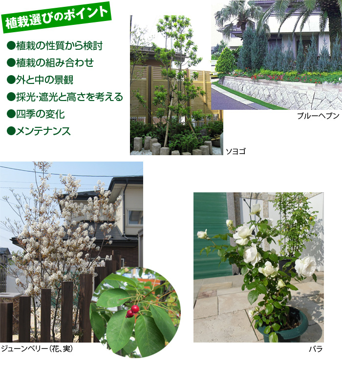 植栽選びのポイント　・植栽の性質から検討・植栽の組み合わせ・外と中の景観・採光・遮光と高さを考える・四季の変化・メンテナンス